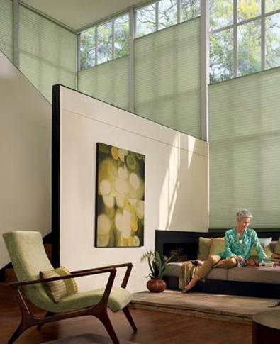 Duettes® Honeycomb Shades