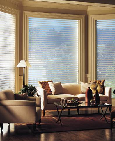 Hunter Douglas Silhouette Shades