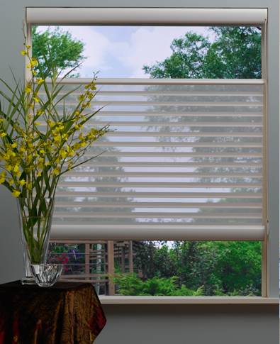 Hunter Douglas Silhouette Shades