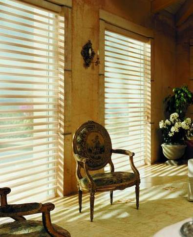 Hunter Douglas Pirouette Shades