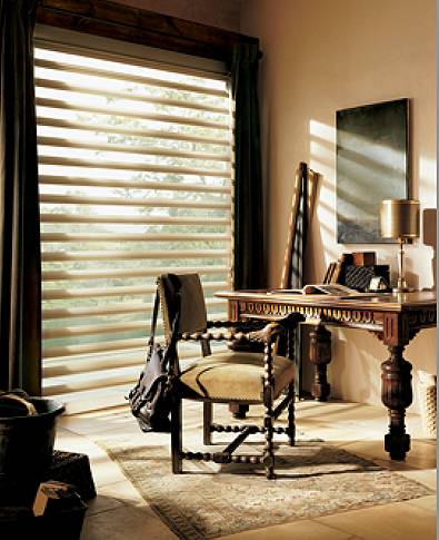 Hunter Douglas Pirouette Shades