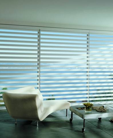 Hunter Douglas Pirouette Shades